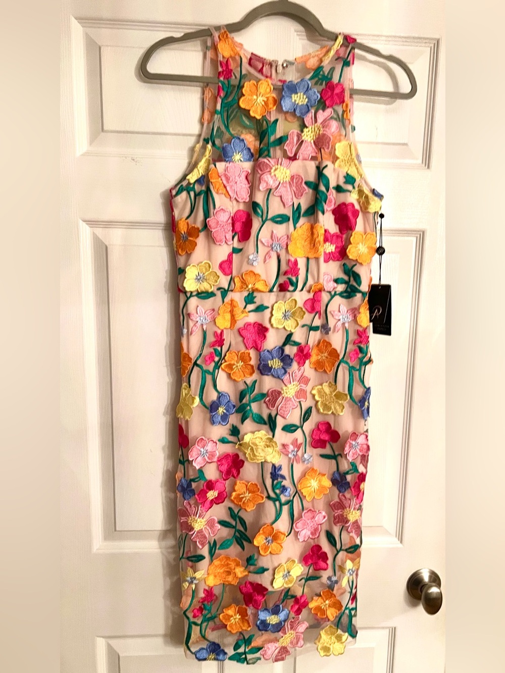 NEW ADRIANNA PAPELL Women's 3D Sheer overlay Floral Embroidered Dress Size 2.
